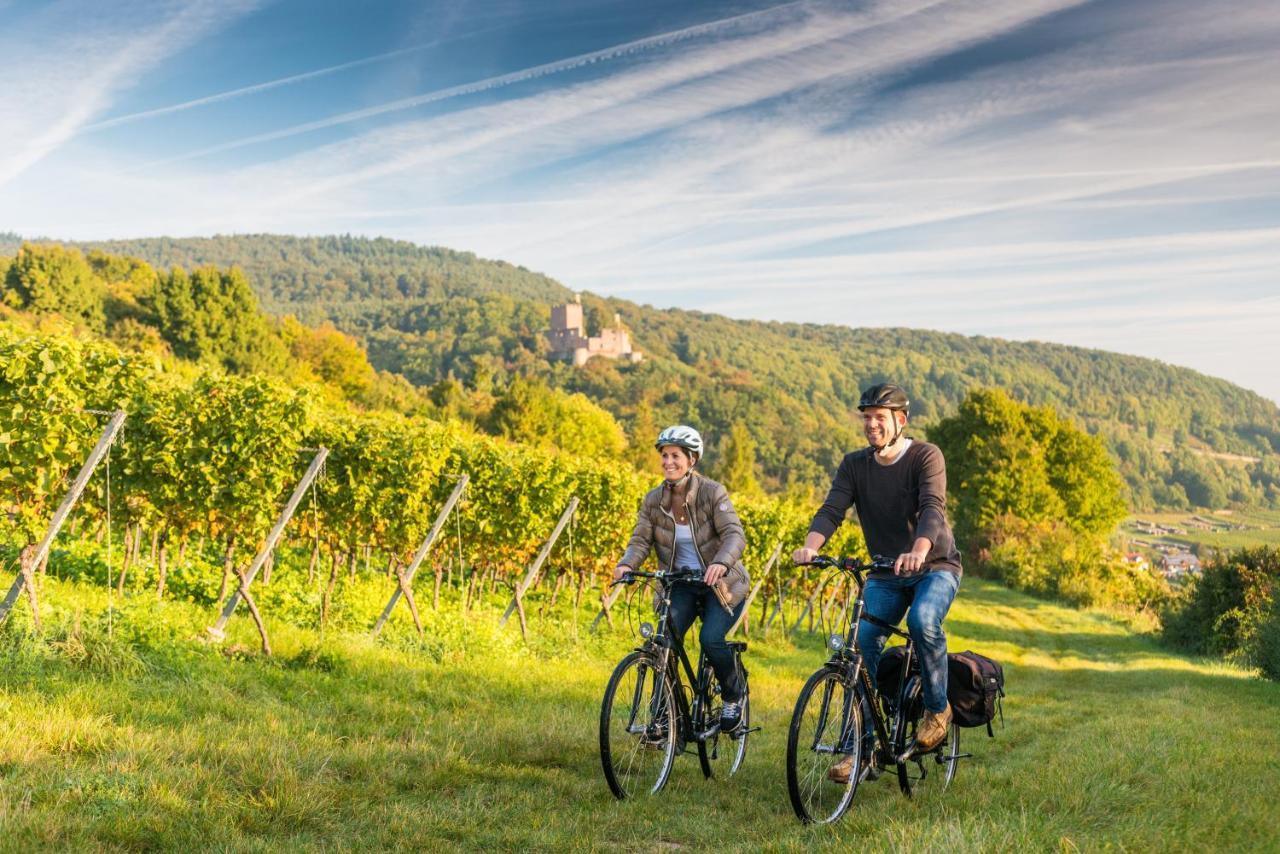 Parkhotel Landau Landau in der Pfalz Eksteriør billede